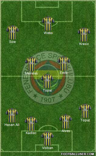 Fenerbahçe SK Formation 2013