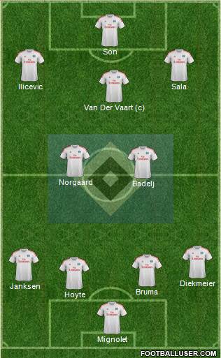 Hamburger SV Formation 2013