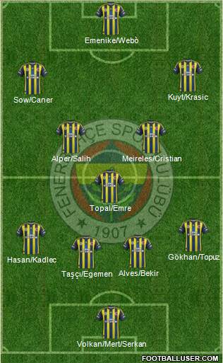 Fenerbahçe SK Formation 2013