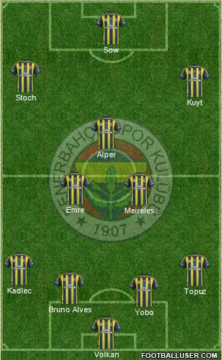 Fenerbahçe SK Formation 2013