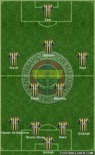 Fenerbahçe SK Formation 2013