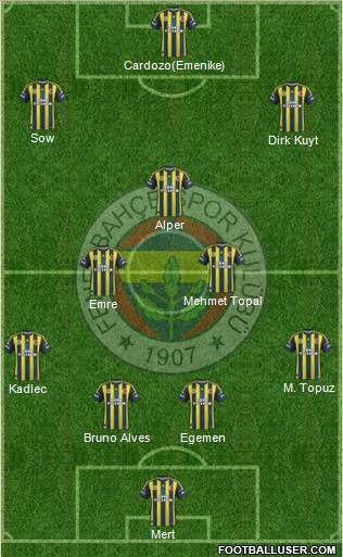 Fenerbahçe SK Formation 2013