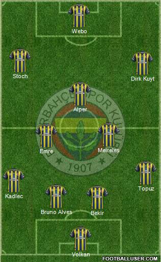 Fenerbahçe SK Formation 2013