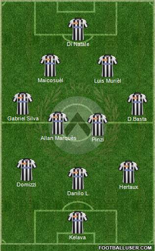 Udinese Formation 2013
