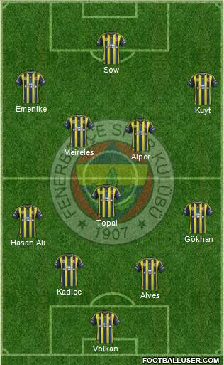 Fenerbahçe SK Formation 2013