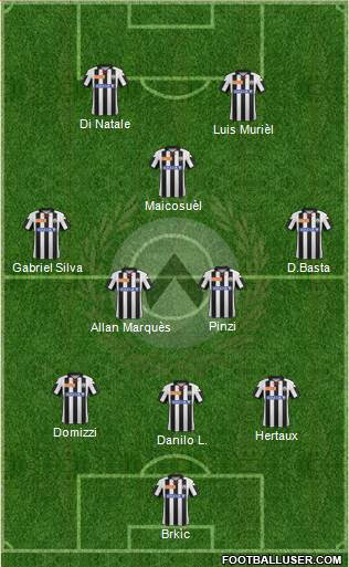 Udinese Formation 2013