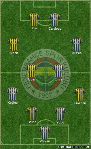 Fenerbahçe SK Formation 2013