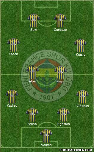 Fenerbahçe SK Formation 2013