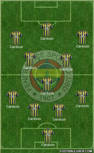 Fenerbahçe SK Formation 2013