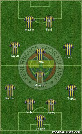 Fenerbahçe SK Formation 2013