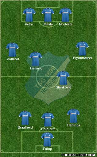 TSG 1899 Hoffenheim Formation 2013