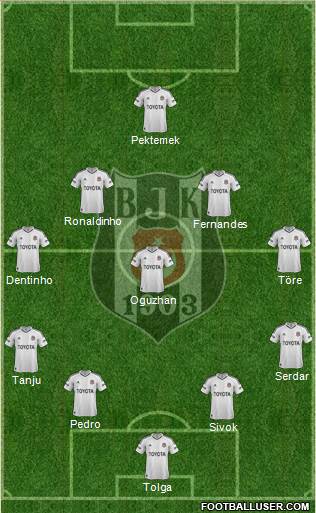Besiktas JK Formation 2013
