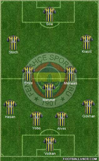 Fenerbahçe SK Formation 2013
