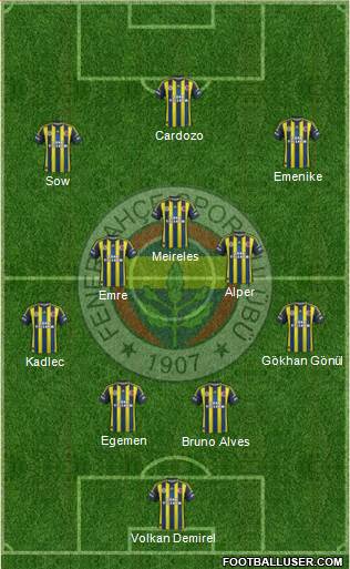 Fenerbahçe SK Formation 2013