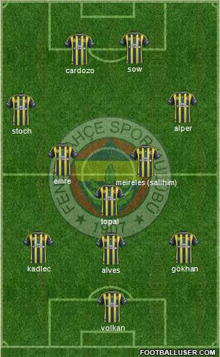 Fenerbahçe SK Formation 2013