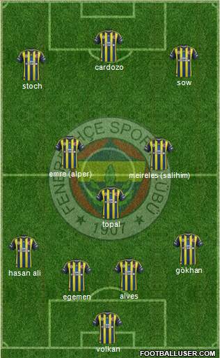 Fenerbahçe SK Formation 2013