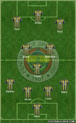 Fenerbahçe SK Formation 2013