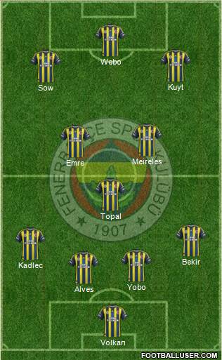 Fenerbahçe SK Formation 2013