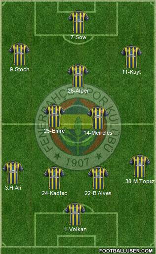 Fenerbahçe SK Formation 2013