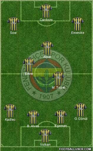 Fenerbahçe SK Formation 2013