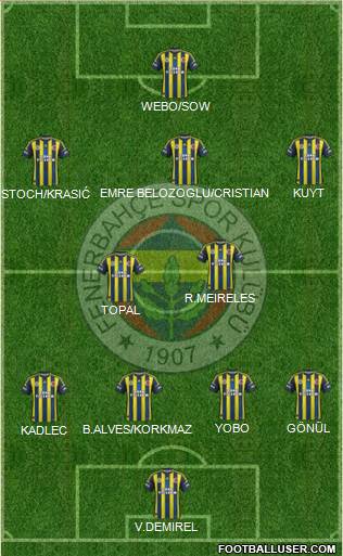 Fenerbahçe SK Formation 2013