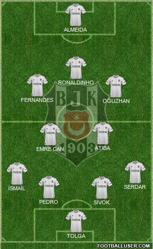 Besiktas JK Formation 2013