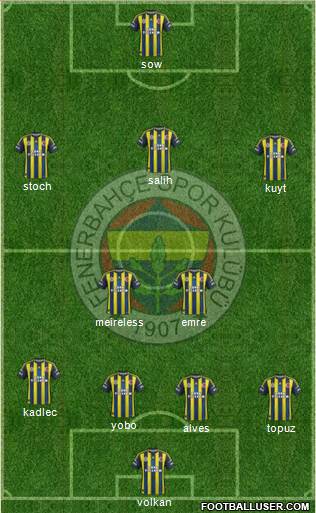 Fenerbahçe SK Formation 2013