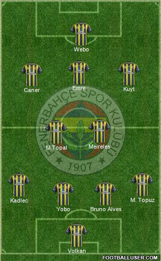Fenerbahçe SK Formation 2013