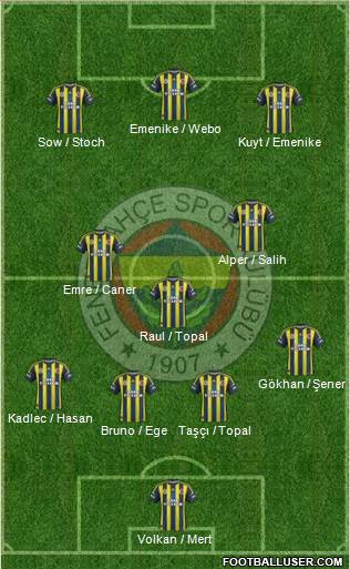 Fenerbahçe SK Formation 2013