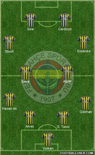 Fenerbahçe SK Formation 2013