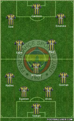 Fenerbahçe SK Formation 2013