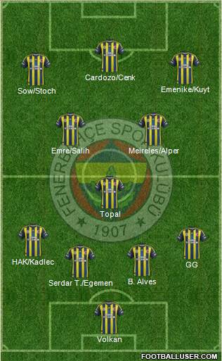 Fenerbahçe SK Formation 2013