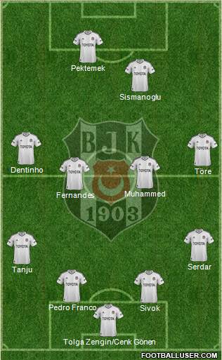 Besiktas JK Formation 2013