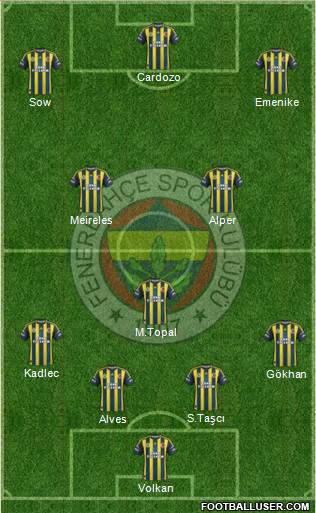 Fenerbahçe SK Formation 2013