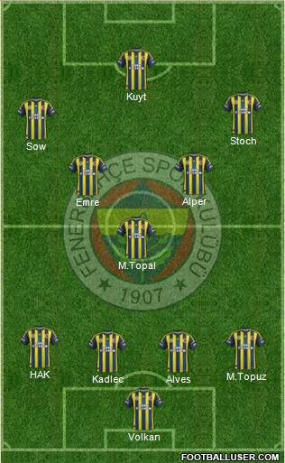 Fenerbahçe SK Formation 2013