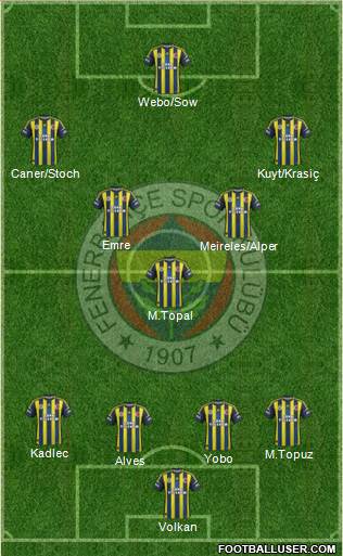 Fenerbahçe SK Formation 2013
