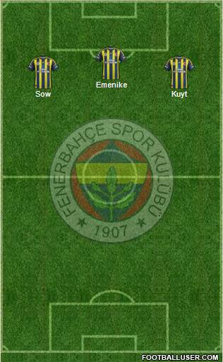 Fenerbahçe SK Formation 2013