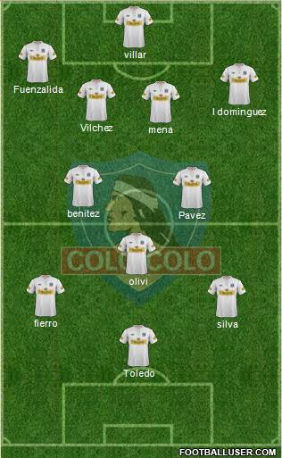 CSD Colo Colo Formation 2013