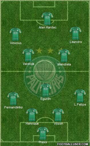 SE Palmeiras Formation 2013