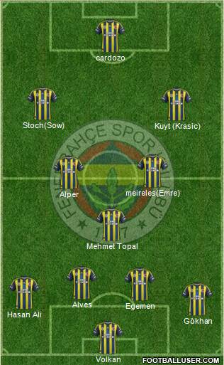 Fenerbahçe SK Formation 2013