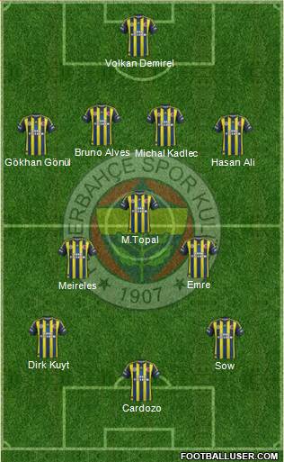Fenerbahçe SK Formation 2013