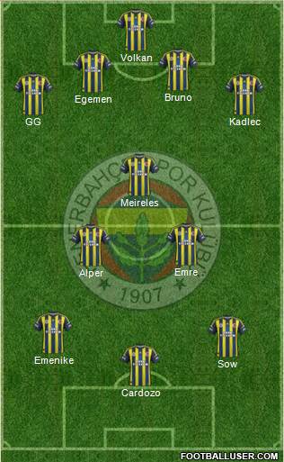 Fenerbahçe SK Formation 2013