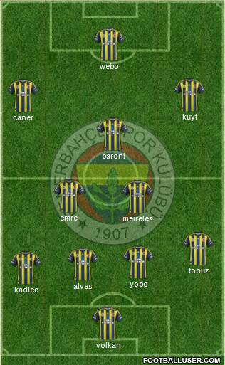 Fenerbahçe SK Formation 2013