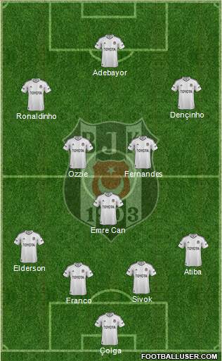 Besiktas JK Formation 2013