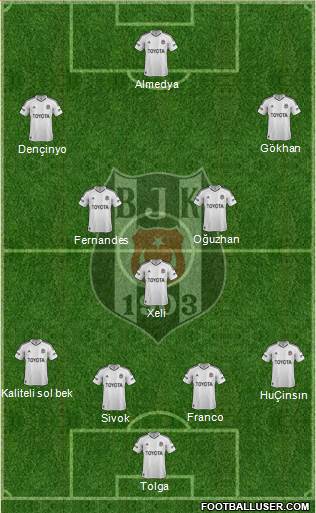 Besiktas JK Formation 2013