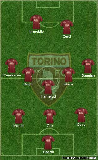 Torino Formation 2013
