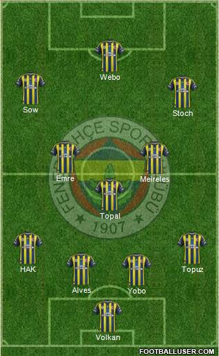 Fenerbahçe SK Formation 2013