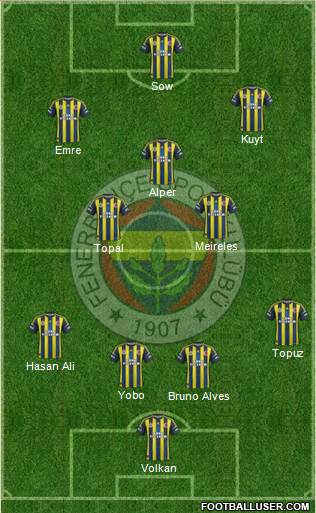 Fenerbahçe SK Formation 2013