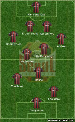 FC Seoul Formation 2013