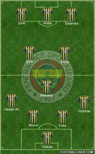 Fenerbahçe SK Formation 2013